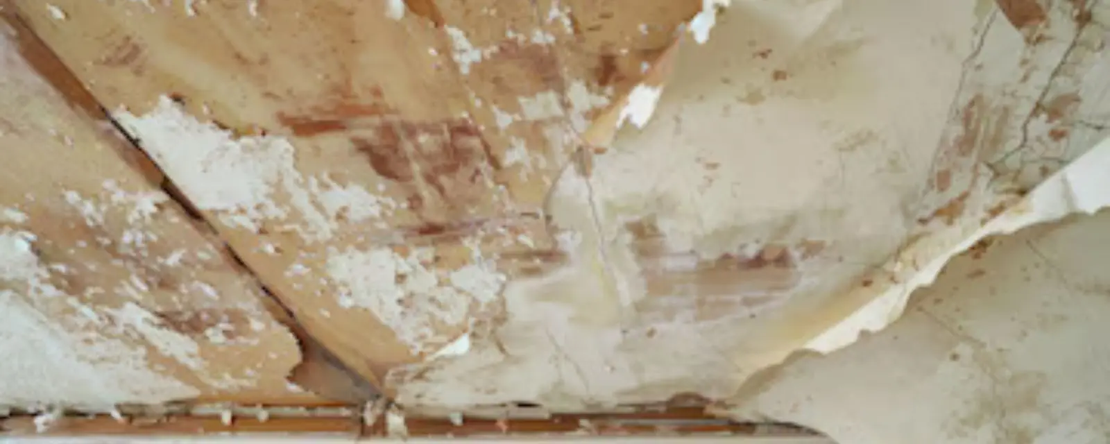 Peeling, water-damaged drywall with lifted paint