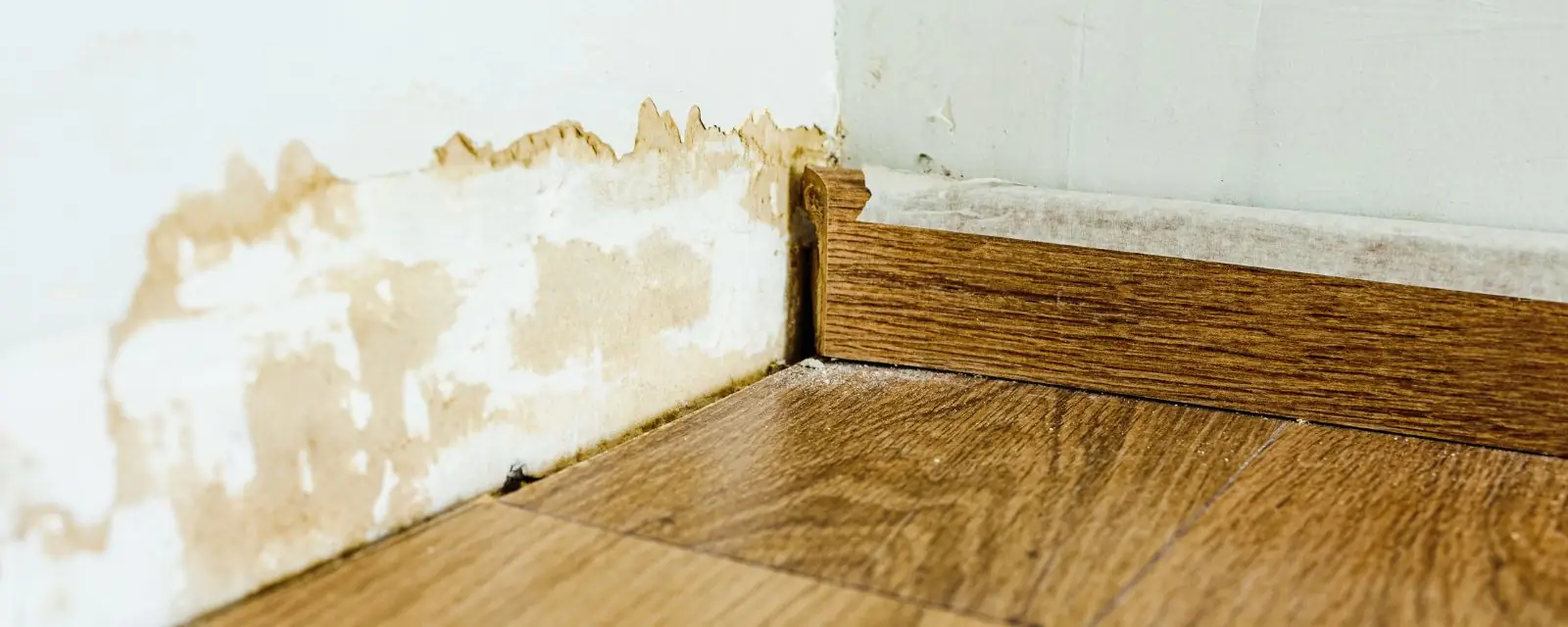 Stained wall and lifted baseboard above a wood floor