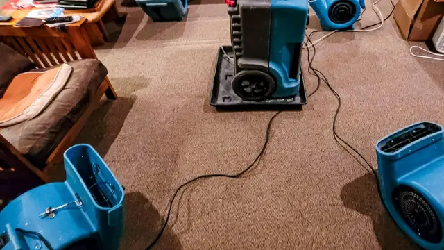 Dehumidifier and air mover drying wet carpet