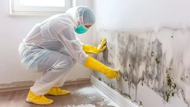 Worker in protective gear cleaning mold from a wall near the floor
