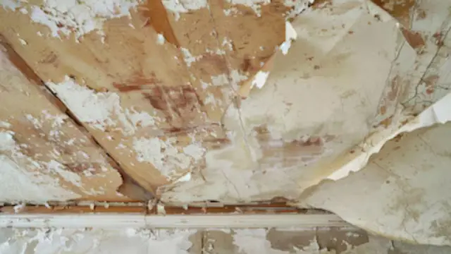 Peeling, water-damaged drywall with lifted paint