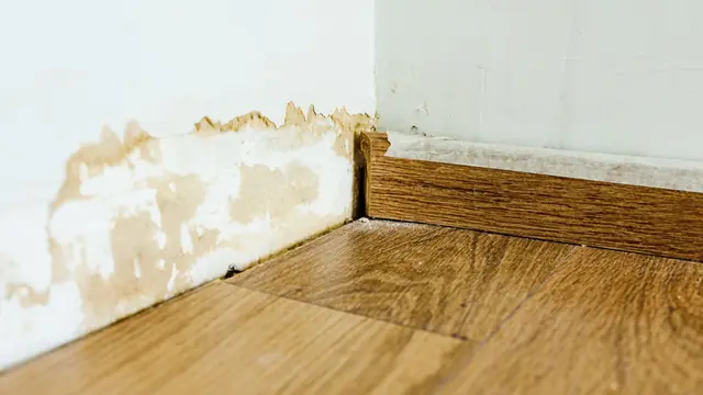 Stained wall and lifted baseboard above a wood floor
